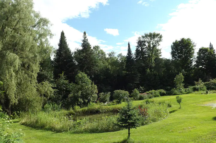 Schedule a healing retreat with Janet Heartson, Wellness Consulting, Barnet, Vermont